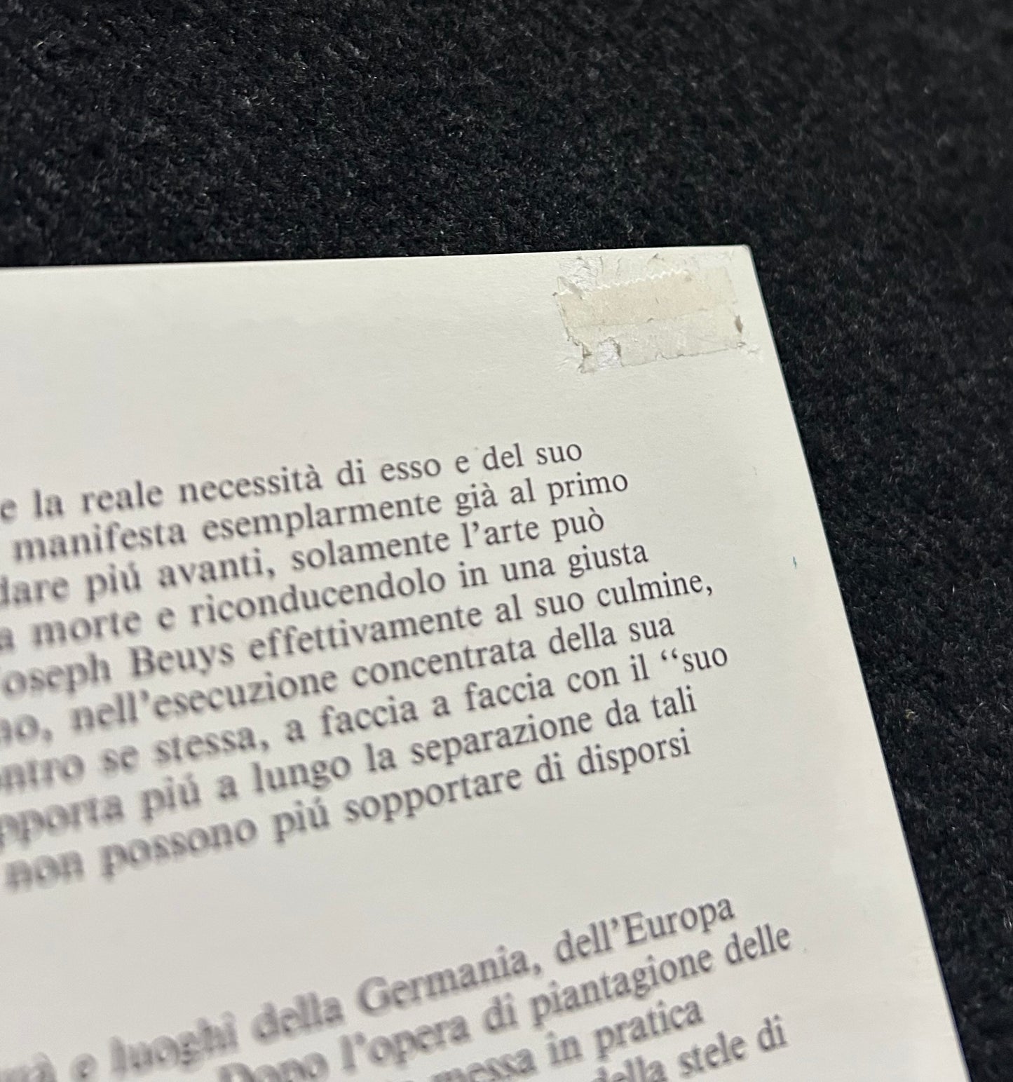 Joseph Beuys - „7000 Querce“ - signiert & nummeriert